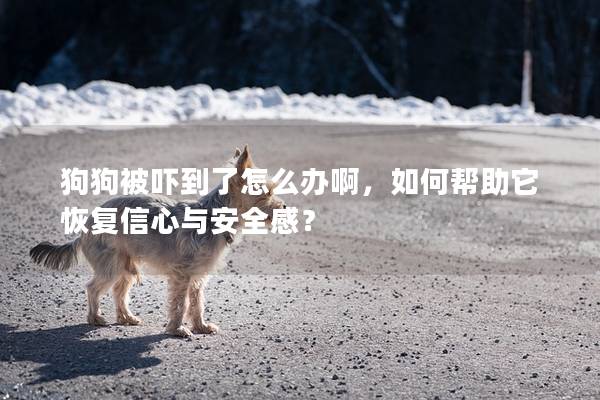 狗狗被嚇到了怎么辦啊,如何幫助它恢復(fù)信心與安全感? 狗狗被嚇到了怎么辦啊,如何幫助它恢復(fù)信心與安全感?