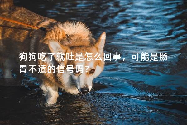 狗狗吃了就吐是怎么回事，可能是腸胃不適的信號嗎？