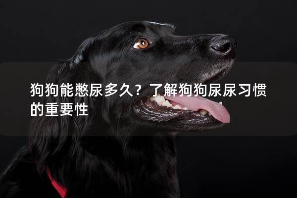 狗狗能憋尿多久？了解狗狗尿尿習慣的重要性