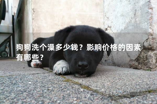 狗狗洗個(gè)澡多少錢？影響價(jià)格的因素有哪些？