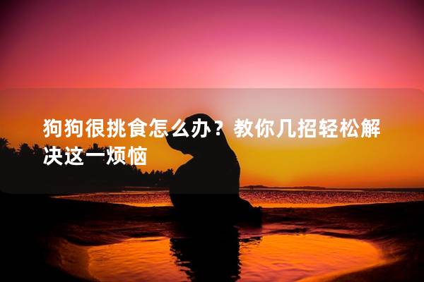 狗狗很挑食怎么辦？教你幾招輕松解決這一煩惱