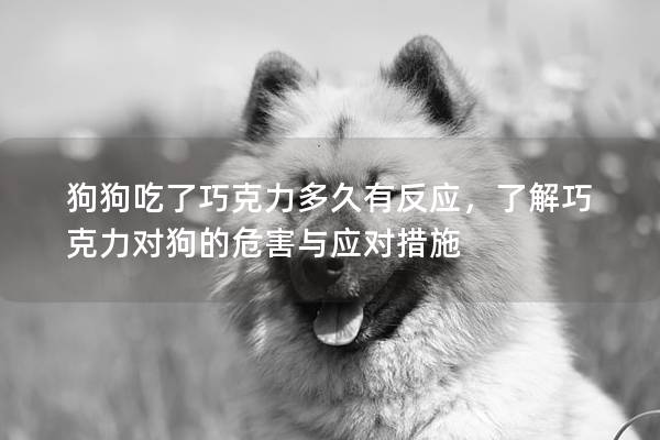 狗狗吃了巧克力多久有反應，了解巧克力對狗的危害與應對措施