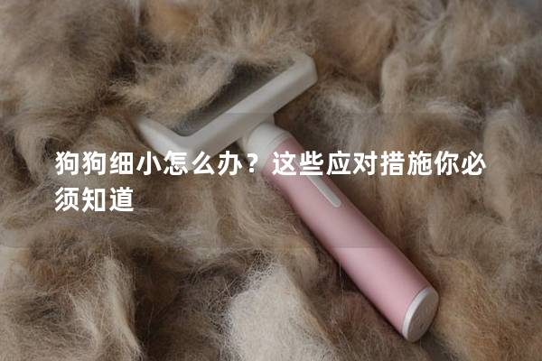 狗狗細小怎么辦？這些應對措施你必須知道