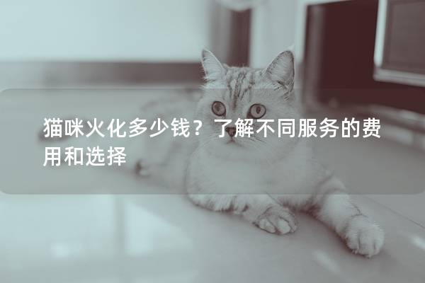 貓咪火化多少錢?了解不同服務的費用和選擇 貓咪火化多少錢?了解不同服務的費用和選擇