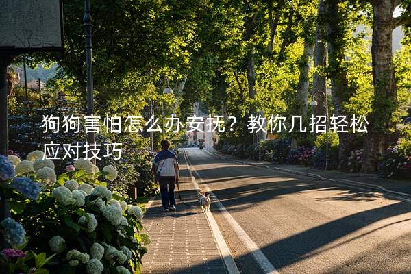 狗狗害怕怎么辦安撫？教你幾招輕松應對技巧
