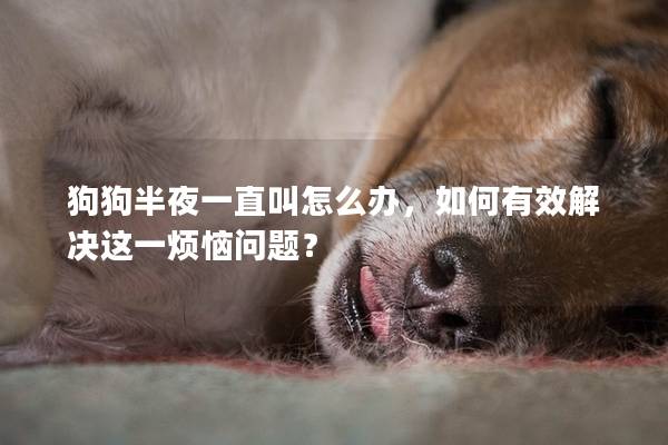 狗狗半夜一直叫怎么辦，如何有效解決這一煩惱問題？