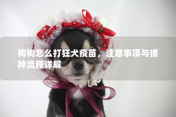 狗狗怎么打狂犬疫苗，注意事項與接種流程詳解