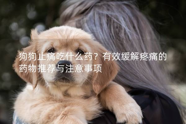 狗狗止痛吃什么藥?有效緩解疼痛的藥物推薦與注意事項 狗狗止痛吃什么藥?有效緩解疼痛的藥物推薦與注意事項