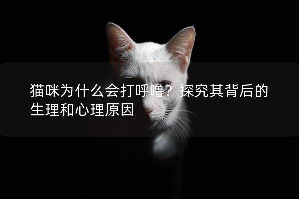 貓咪為什么會打呼嚕?探究其背后的生理和心理原因 貓咪為什么會打呼嚕?探究其背后的生理和心理原因