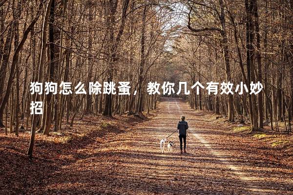 狗狗怎么除跳蚤，教你幾個有效小妙招