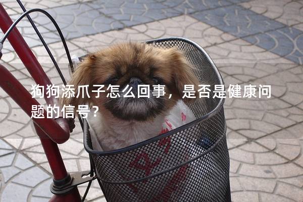 狗狗添爪子怎么回事，是否是健康問題的信號？