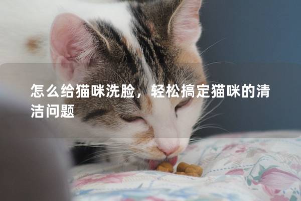 怎么給貓咪洗臉，輕松搞定貓咪的清潔問題