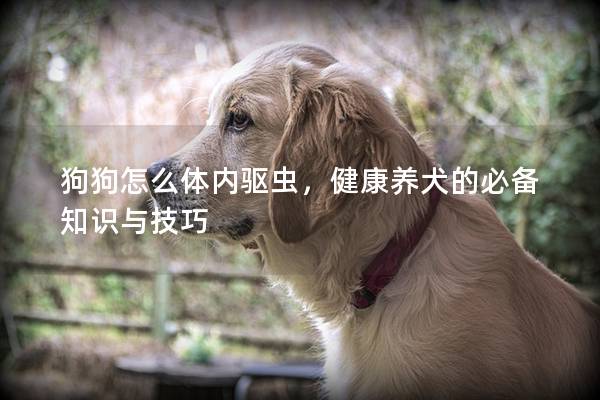 狗狗怎么體內驅蟲，健康養犬的必備知識與技巧
