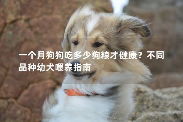 一個月狗狗吃多少狗糧才健康?不同品種幼犬喂養指南