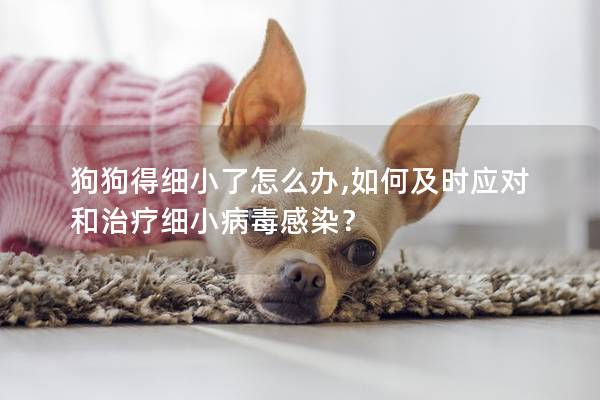 狗狗得細小了怎么辦,如何及時應對和治療細小病毒感染？