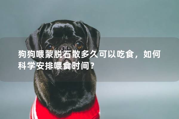 狗狗喂蒙脫石散多久可以吃食，如何科學(xué)安排喂食時(shí)間？