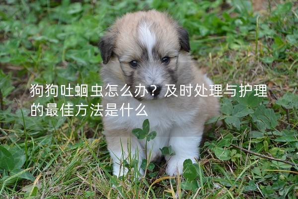 狗狗吐蛔蟲怎么辦？及時處理與護理的最佳方法是什么