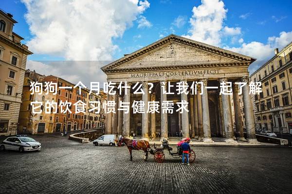 狗狗一個月吃什么？讓我們一起了解它的飲食習(xí)慣與健康需求