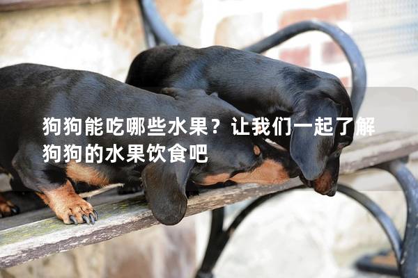 狗狗能吃哪些水果?讓我們一起了解狗狗的水果飲食吧 狗狗能吃哪些水果?讓我們一起了解狗狗的水果飲食吧