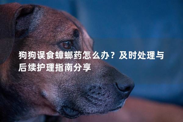 狗狗誤食蟑螂藥怎么辦？及時處理與后續護理指南分享