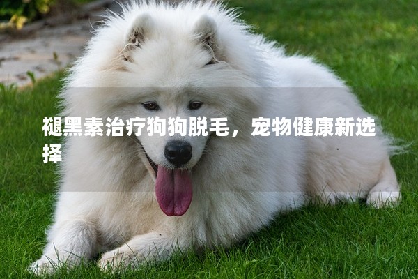 褪黑素治療狗狗脫毛,寵物健康新選擇 褪黑素治療狗狗脫毛,寵物健康新選擇