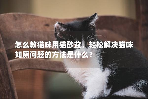 怎么教貓咪用貓砂盆，輕松解決貓咪如廁問題的方法是什么？