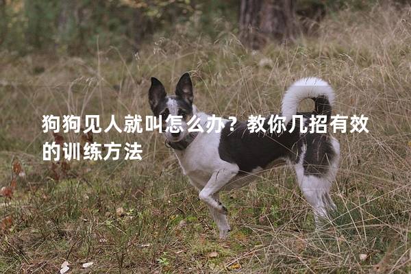 狗狗見人就叫怎么辦？教你幾招有效的訓練方法