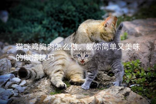 貓咪雞胸肉怎么做,教你簡單又美味的做法技巧 貓咪雞胸肉怎么做,教你簡單又美味的做法技巧