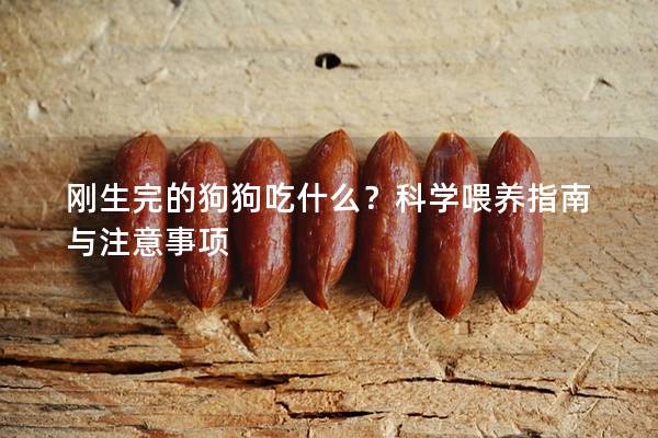 剛生完的狗狗吃什么？科學(xué)喂養(yǎng)指南與注意事項(xiàng)