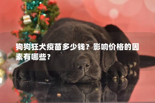 狗狗狂犬疫苗多少錢？影響價格的因素有哪些？