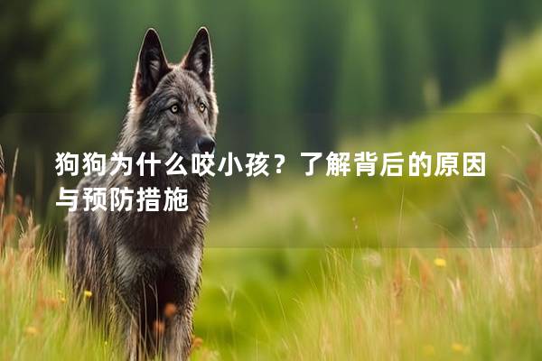 狗狗為什么咬小孩？了解背后的原因與預防措施
