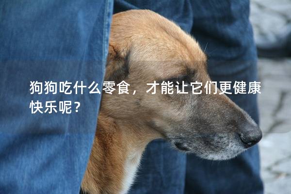 狗狗吃什么零食，才能讓它們更健康快樂呢？