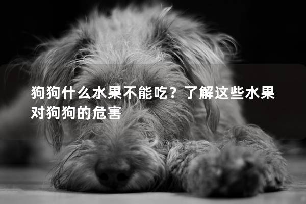 狗狗什么水果不能吃？了解這些水果對狗狗的危害
