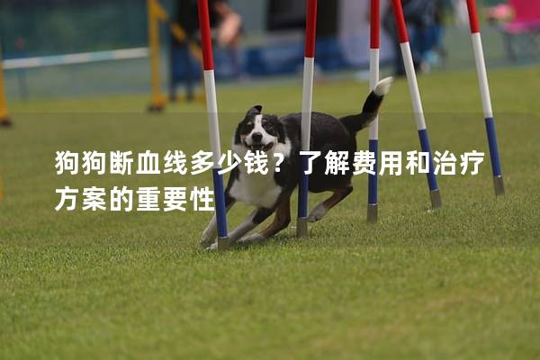 狗狗斷血線多少錢？了解費用和治療方案的重要性