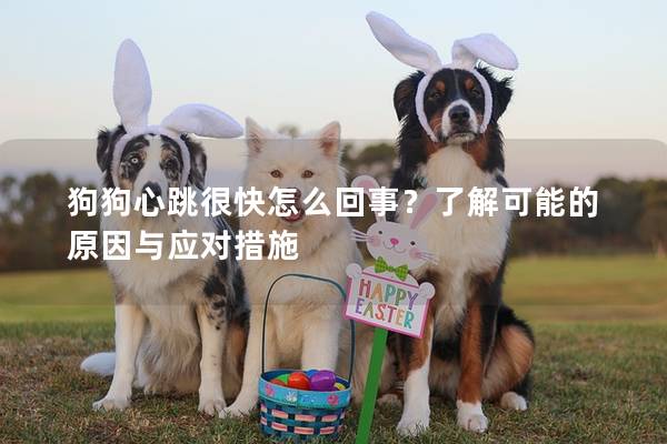 狗狗心跳很快怎么回事？了解可能的原因與應對措施
