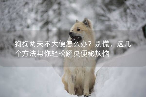 狗狗兩天不大便怎么辦？別慌，這幾個(gè)方法幫你輕松解決便秘?zé)?></em><p>狗狗兩天不大便怎么辦？別慌，這幾個(gè)方法幫你輕松解決便秘?zé)?/p><span>2025-03-26</span></a></li><li><a title=