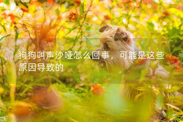 狗狗叫聲沙啞怎么回事，可能是這些原因?qū)е碌?></em><p>狗狗叫聲沙啞怎么回事，可能是這些原因?qū)е碌?/p><span>2025-03-27</span></a></li> 
                                            </ul>
                                        </div>

                                        <div   id=