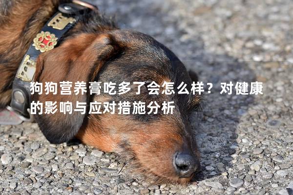 狗狗營養膏吃多了會怎么樣？對健康的影響與應對措施分析