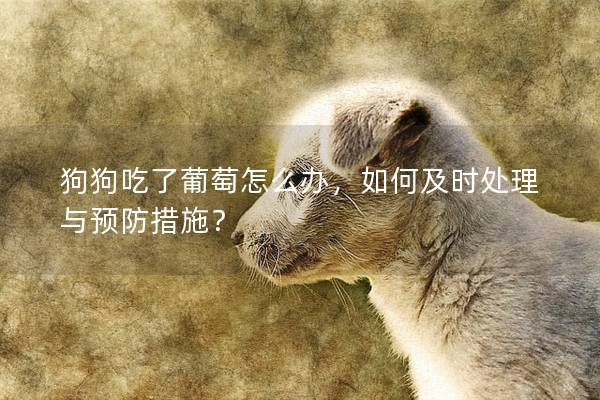 狗狗吃了葡萄怎么辦，如何及時處理與預防措施？