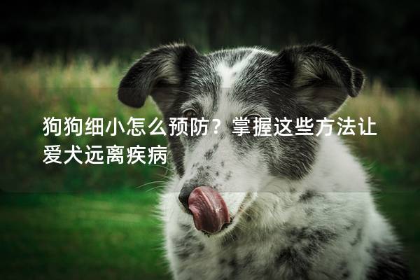 狗狗細(xì)小怎么預(yù)防？掌握這些方法讓愛犬遠(yuǎn)離疾病
