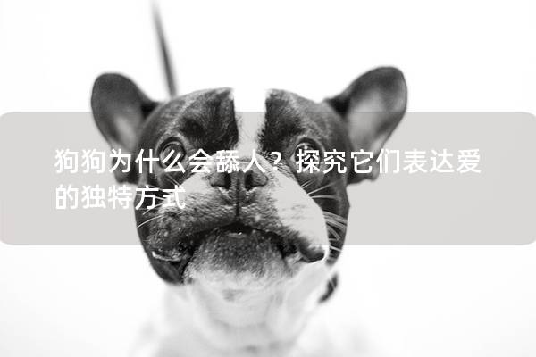 狗狗為什么會舔人？探究它們表達愛的獨特方式
