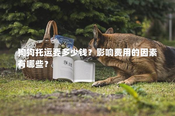 狗狗托運(yùn)要多少錢？影響費(fèi)用的因素有哪些？