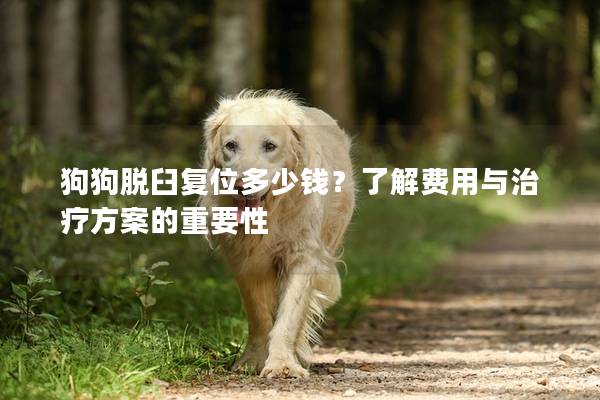 狗狗脫臼復位多少錢？了解費用與治療方案的重要性