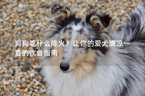 狗狗吃什么降火？讓你的愛犬清涼一夏的飲食指南