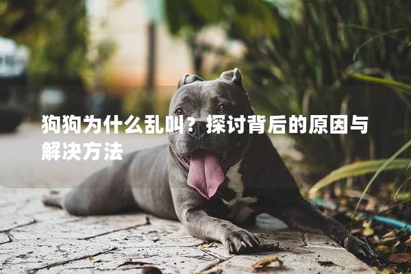 狗狗為什么亂叫？探討背后的原因與解決方法