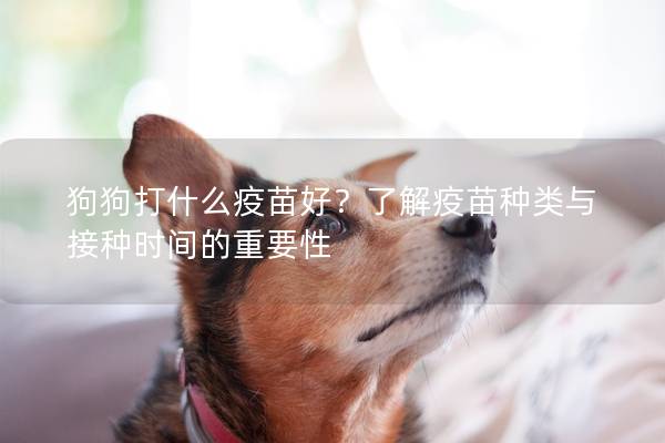 狗狗打什么疫苗好？了解疫苗種類與接種時間的重要性