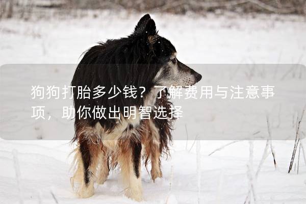 狗狗打胎多少錢?了解費用與注意事項,助你做出明智選擇 狗狗打胎多少錢?了解費用與注意事項,助你做出明智選擇