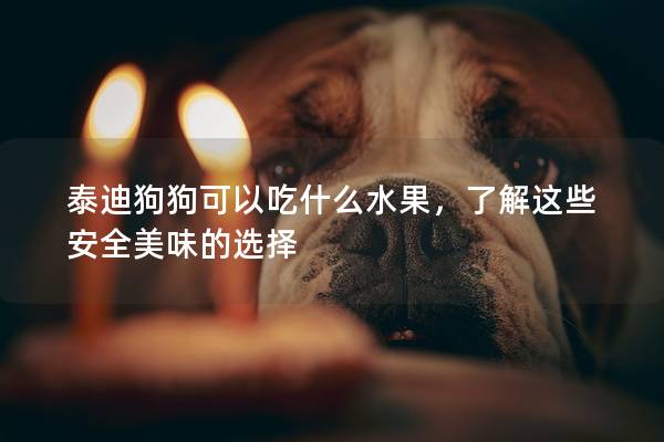 泰迪狗狗可以吃什么水果,了解這些安全美味的選擇