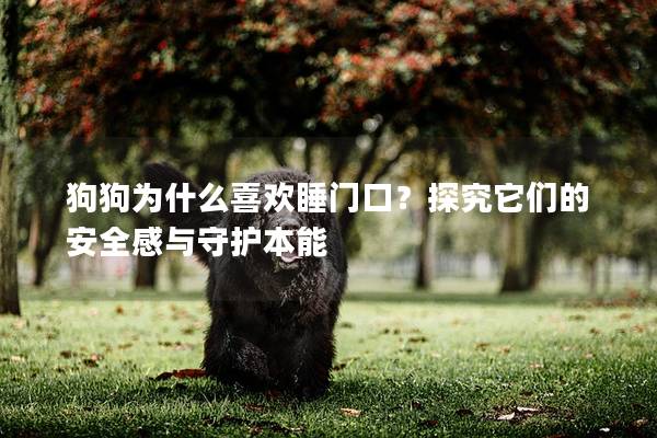 狗狗為什么喜歡睡門口？探究它們的安全感與守護本能