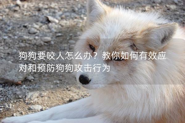 狗狗要咬人怎么辦?教你如何有效應對和預防狗狗攻擊行為 狗狗要咬人怎么辦?教你如何有效應對和預防狗狗攻擊行為